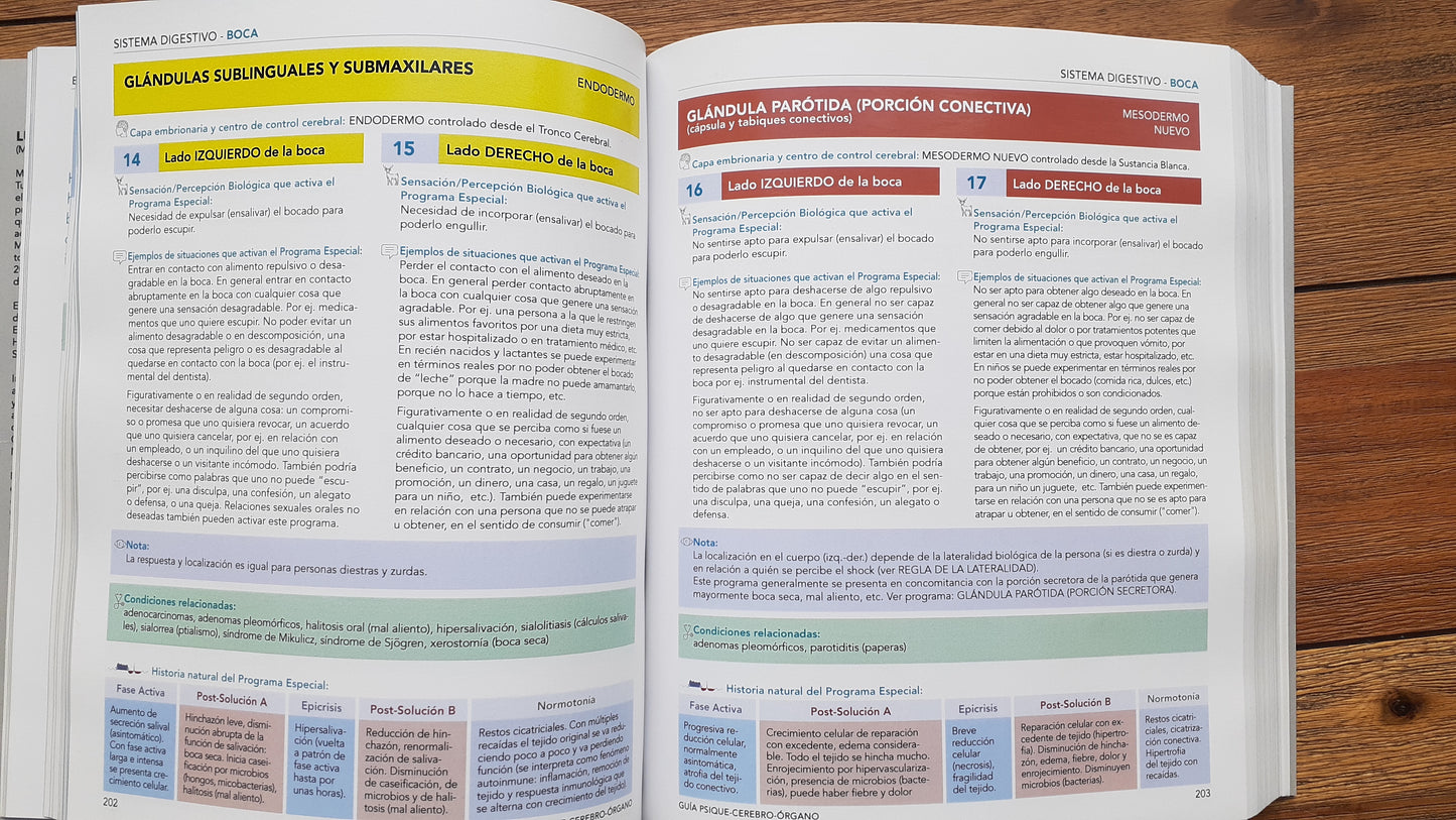 GUÍA PSIQUE - CEREBRO - ÓRGANO basada en las 5 Leyes Biológicas descubiertas por el Dr. R.G. Hamer. 2a edición en Preventa (lanzamiento 27 de noviembre 2025).