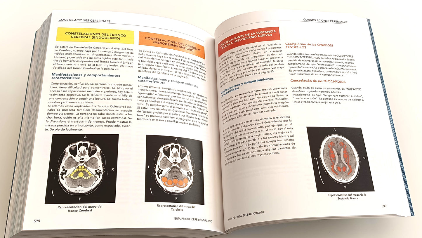 GUÍA PSIQUE - CEREBRO - ÓRGANO basada en las 5 Leyes Biológicas descubiertas por el Dr. R.G. Hamer. 2a edición en Preventa (lanzamiento 27 de noviembre 2025).