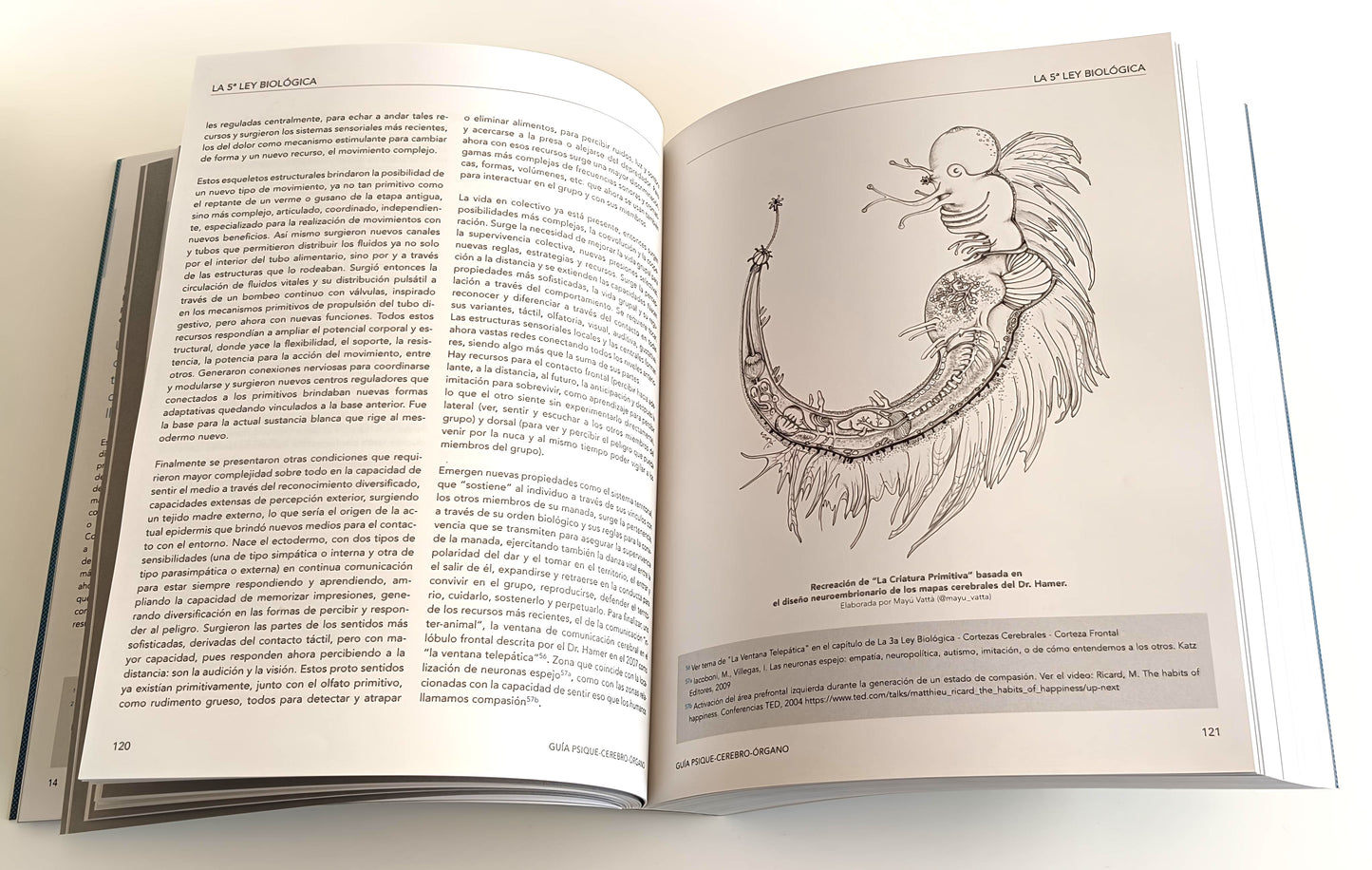 GUÍA PSIQUE - CEREBRO - ÓRGANO basada en las 5 Leyes Biológicas descubiertas por el Dr. R.G. Hamer. 2a edición en Preventa (lanzamiento 27 de noviembre 2025).