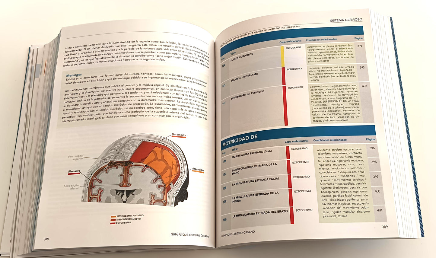 GUÍA PSIQUE - CEREBRO - ÓRGANO basada en las 5 Leyes Biológicas descubiertas por el Dr. R.G. Hamer. 2a edición en Preventa (lanzamiento 27 de noviembre 2025).