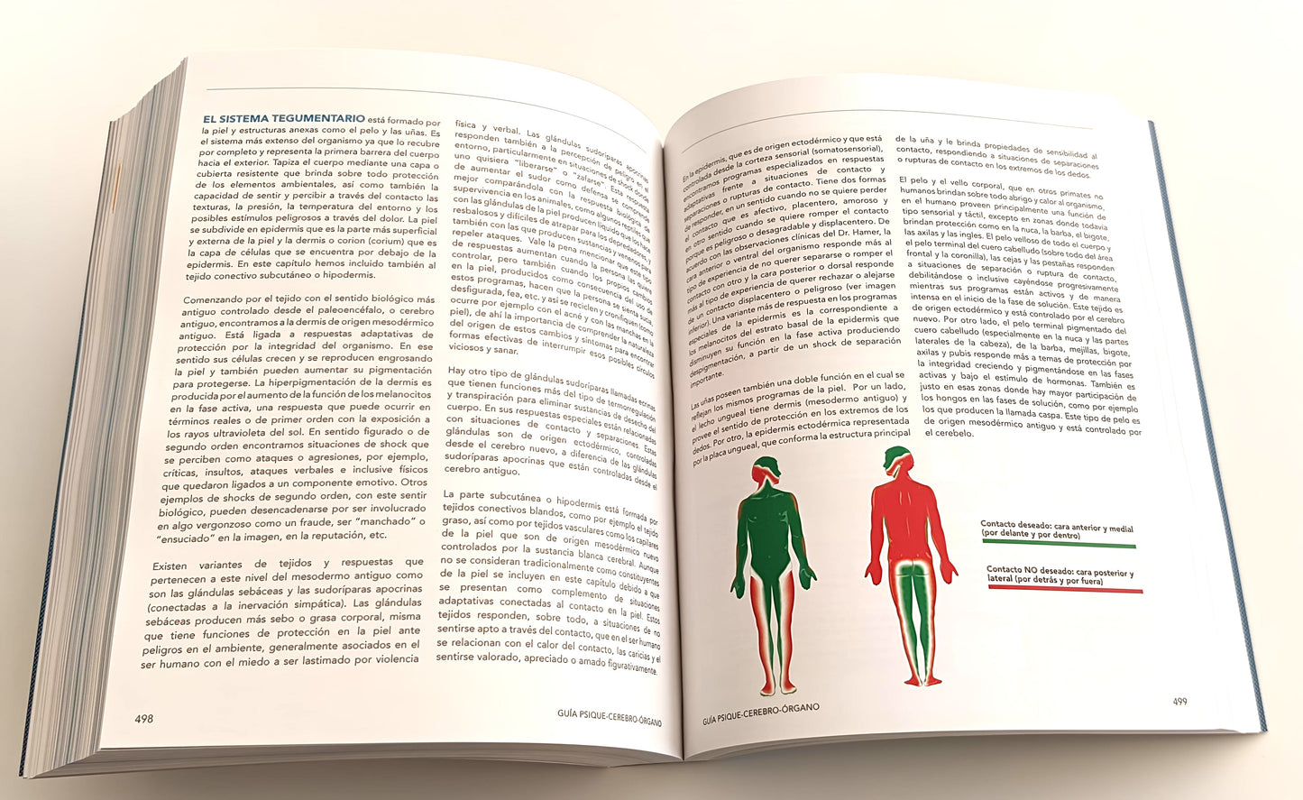 GUÍA PSIQUE - CEREBRO - ÓRGANO basada en las 5 Leyes Biológicas descubiertas por el Dr. R.G. Hamer. 2a edición en Preventa (lanzamiento 27 de noviembre 2025).